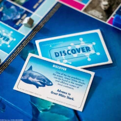 MONOPOLY®: Predators Of The Deep Edition -Game Sale Store Shark Week Monopoly photo 04 square