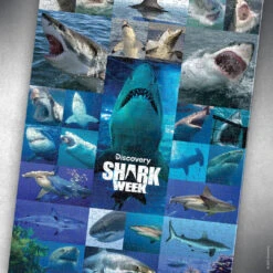 Shark Week "Shiver Of Sharks" 1000 Piece Puzzle -Game Sale Store Shark Week Shiver of Sharks 1k PZ puzzle