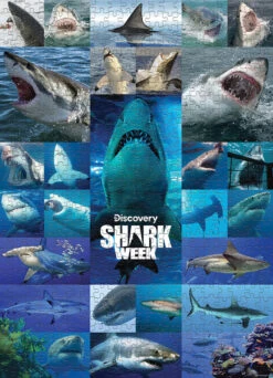 Shark Week "Shiver Of Sharks" 1000 Piece Puzzle -Game Sale Store SharkWeek 1K PZ 2022 PZ