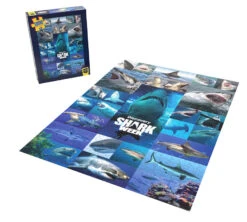 Game Sale Store -Game Sale Store SharkWeek PZ 2022 PR
