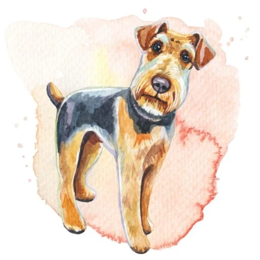 Dog Park Collector’s Edition Bundle (Kickstarter Pre-Order Special) - Image 10