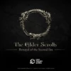 Elder Scrolls: Betrayal Of The Second Era Blacksmith Pack (Kickstarter Pre-Order Special) -Game Sale Store elder scrolls betrayal of the second era blacksmith pack kickstarter pre order special kickstarter board game accesory chip theory games 42987454202008