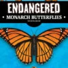 Endangered A Game Of Conservation: Monarch Butterfly Expansion (Kickstarter Special) -Game Sale Store endangered monarch butterfly expansion kickstarter pre order special kickstarter board game expansion grand gamers guild 40241410211992