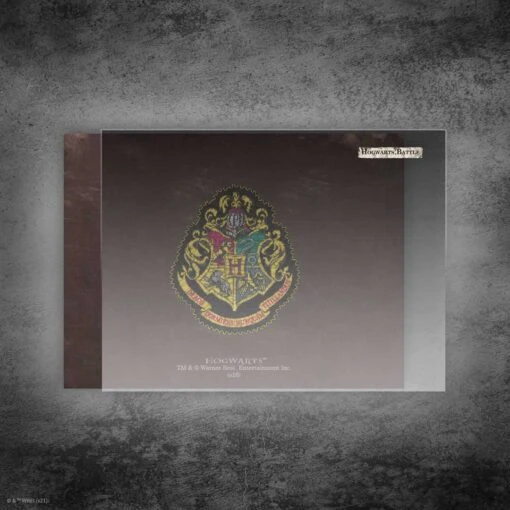 Harry Potter™ Hogwarts™ Battle: Square And Large Card Sleeves - Image 3